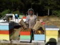 /album/fotogaleria-inicio/a2013-12-19-08-44-26-jpg1/